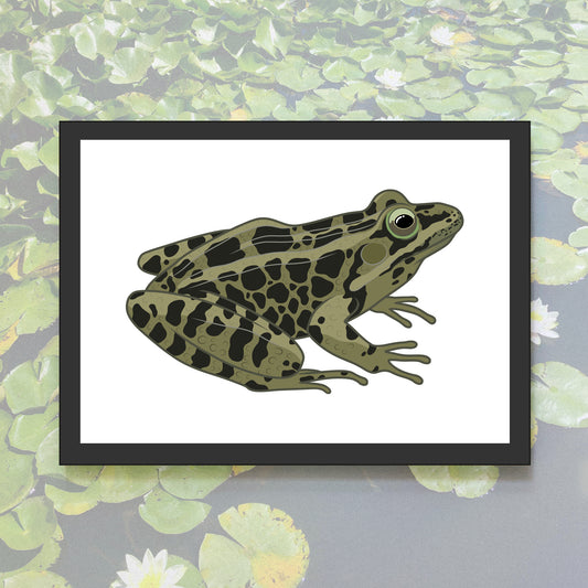 Pickerel Frog Heavy Weight Art Print