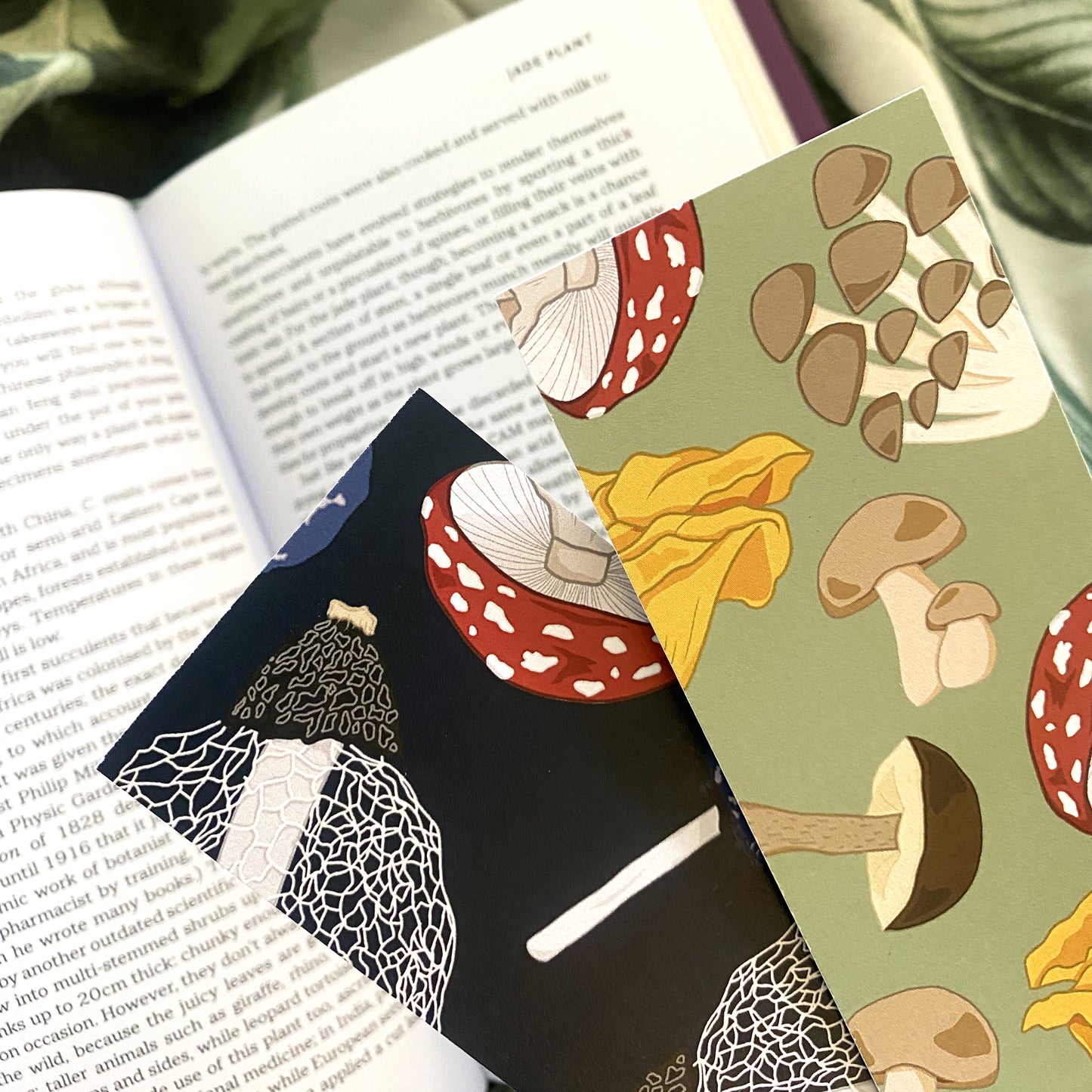 Double-Sided Fungi Bookmark in Sage