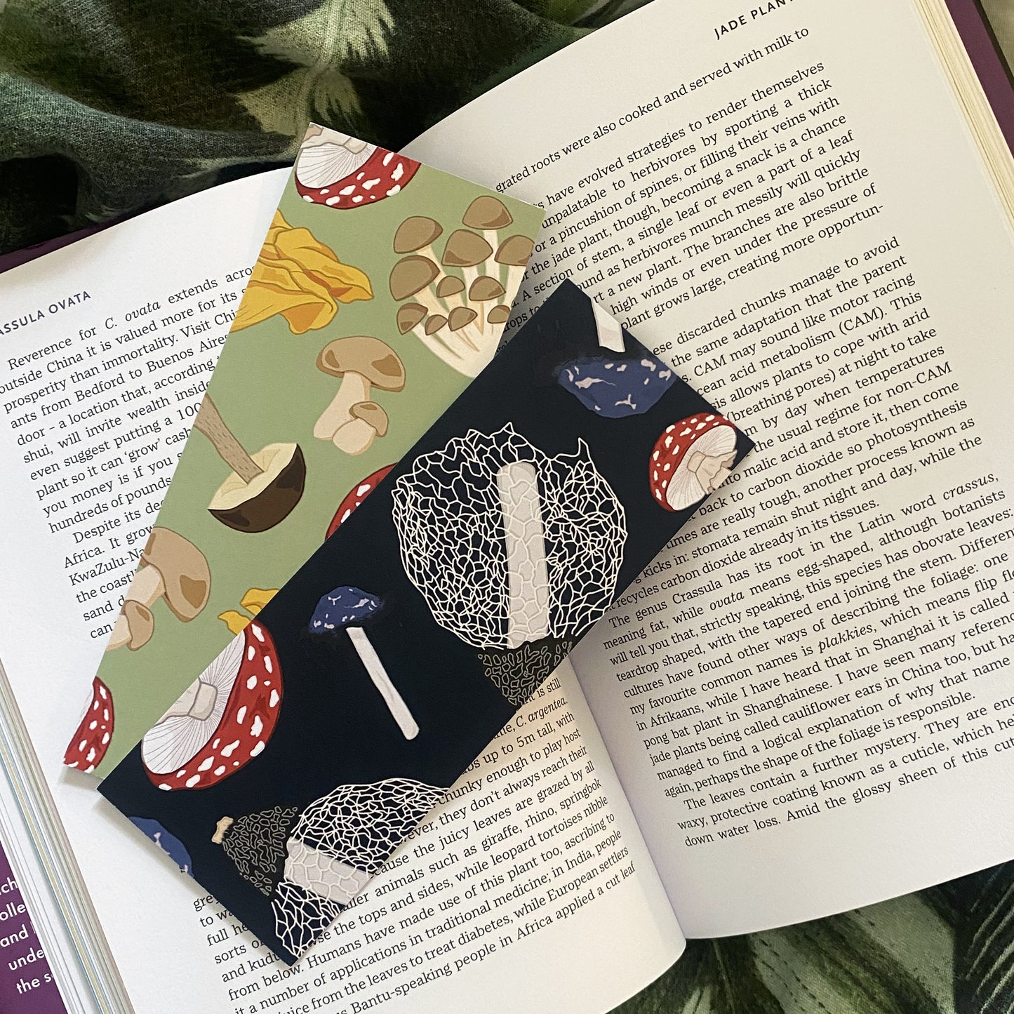 Double-Sided Fungi Bookmark in Sage