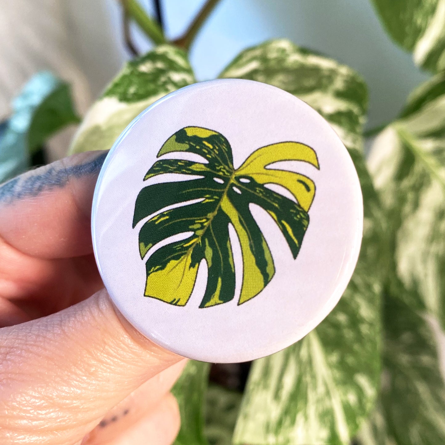 Monstera Aurea Variegated "Sport" Pin Badge