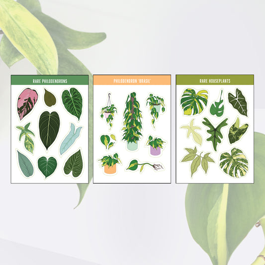 A6 houseplant sticker sheet multipack gift bundle philodendron brasil rare philodendrons and rare houseplants