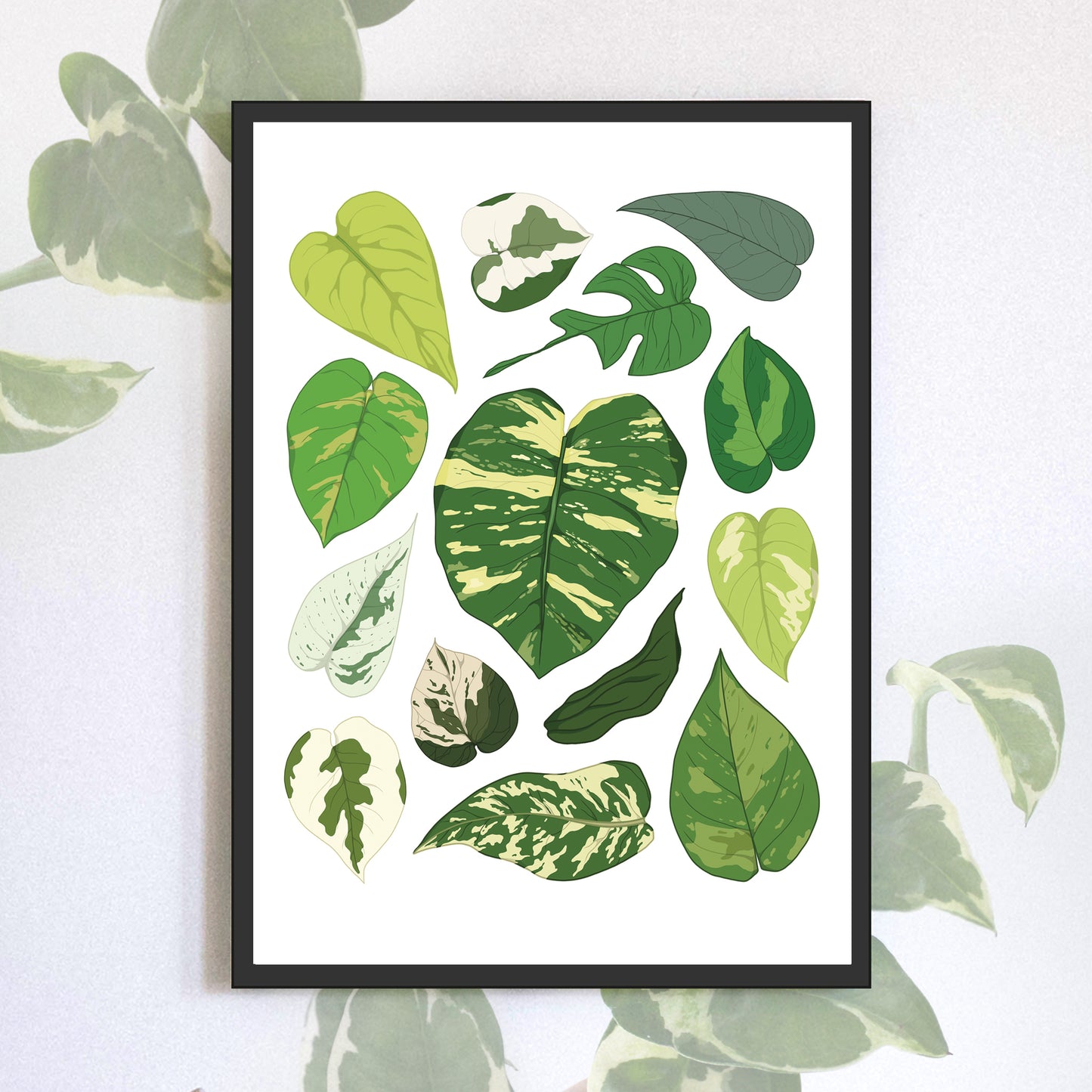 A4 illustrated houseplant poster digitally illustrated epipremnum foliage art print pothos