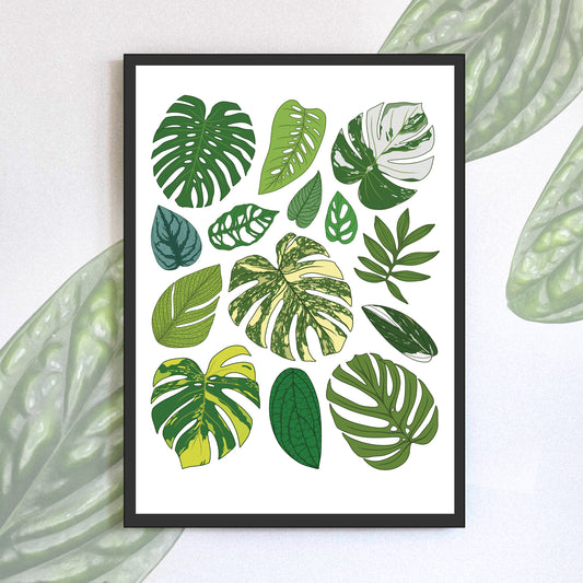 A4 illustrated monstera houseplant poster digitally monstera foliage art print 