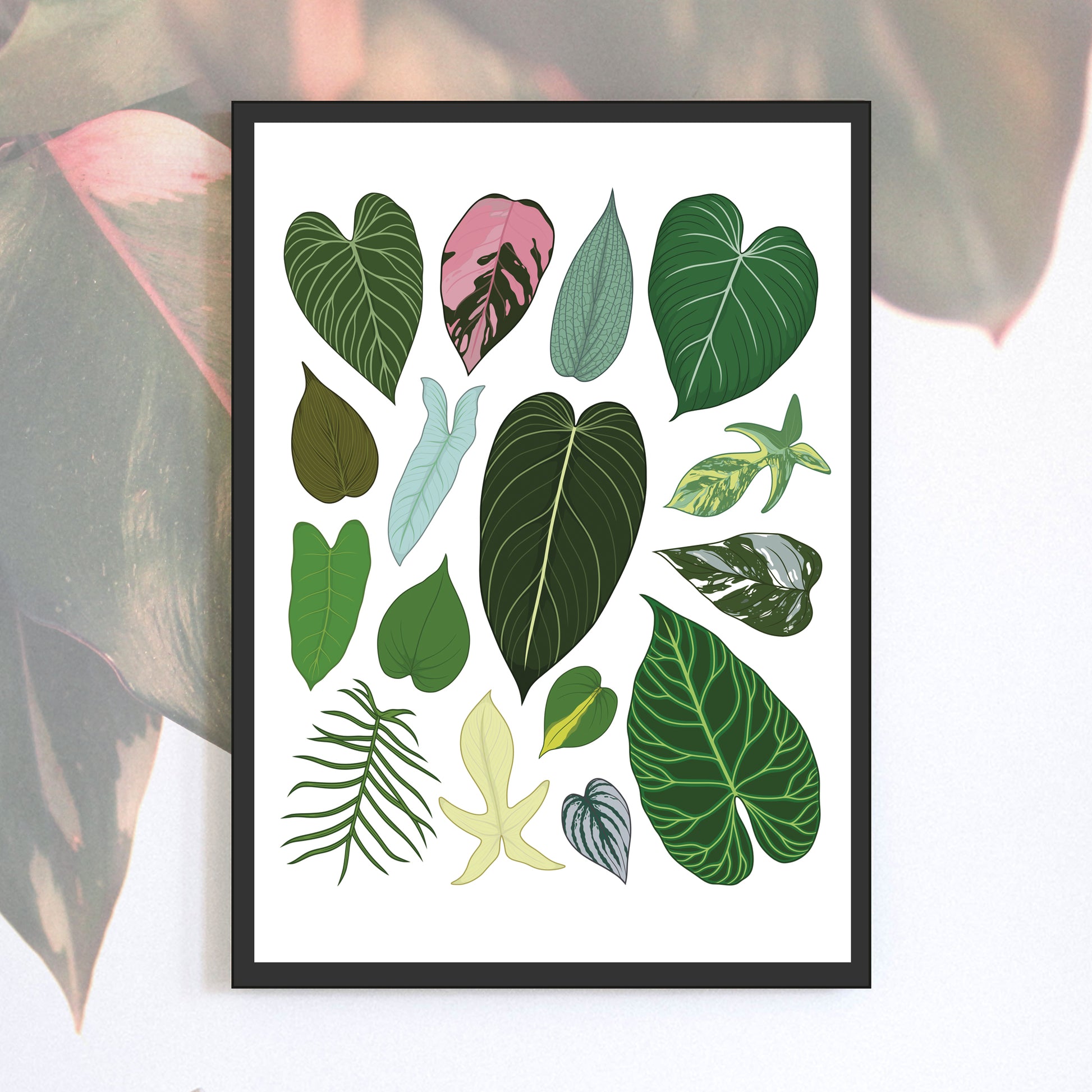 A4 illustrated philodendron poster digitally illustrated philodendron foliage houseplant art print