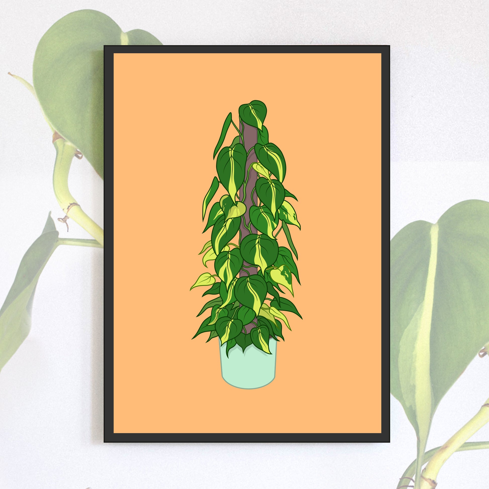 A6 illustrated philodendron poster digitally illustrated houseplant mini print bundle philodendron brasil