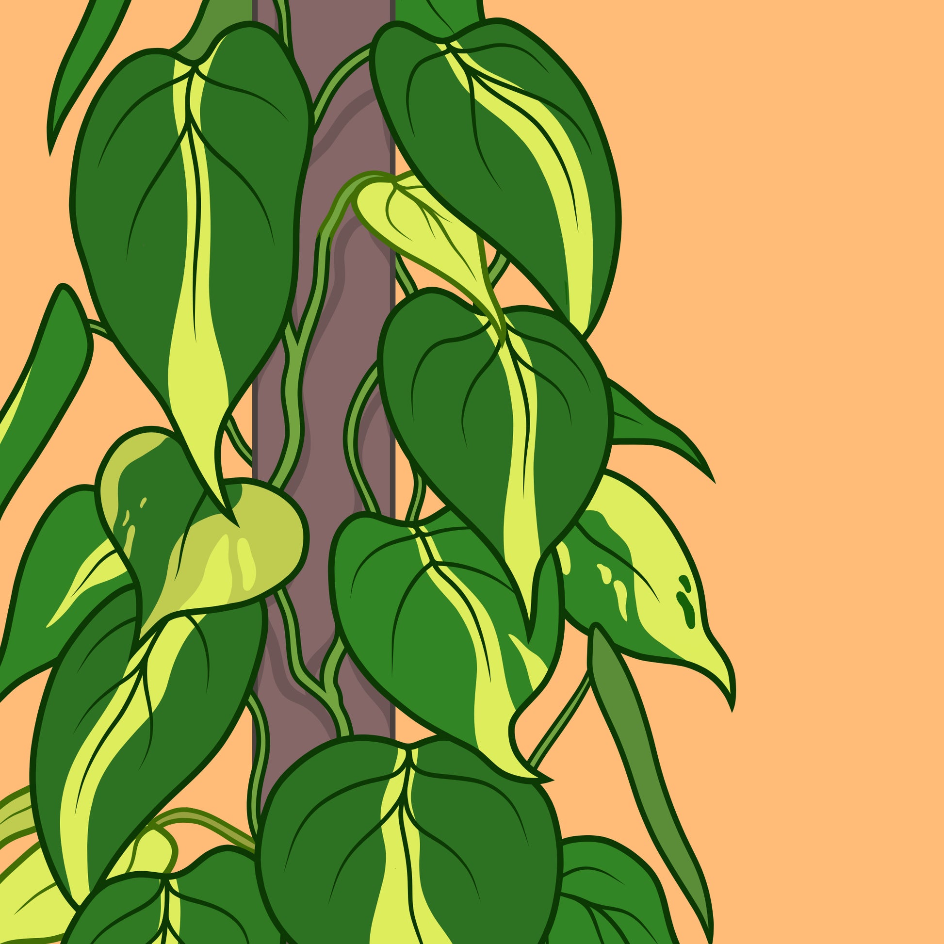 A6 illustrated philodendron poster digitally illustrated houseplant mini print philodendron brasil details moss pole