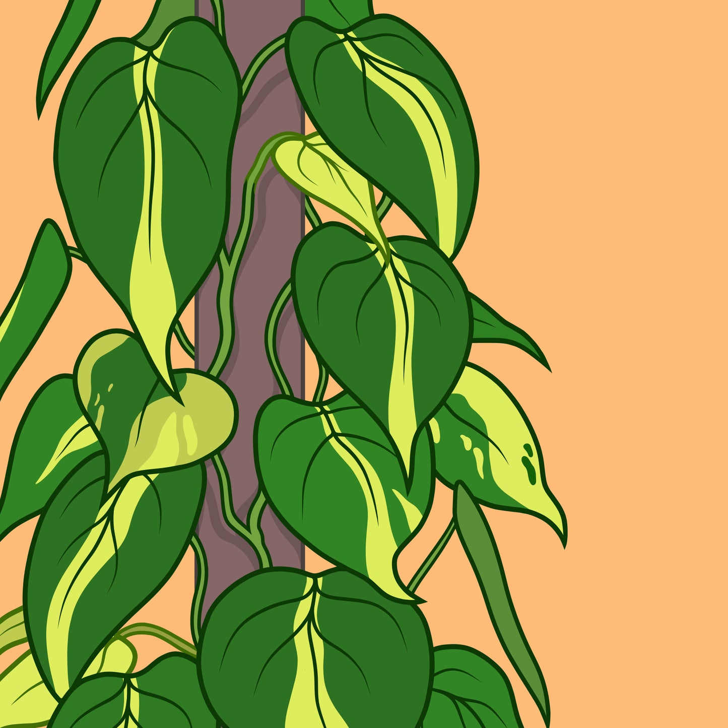 philodendron brasil leaves digitally illustrated houseplant art print close up
