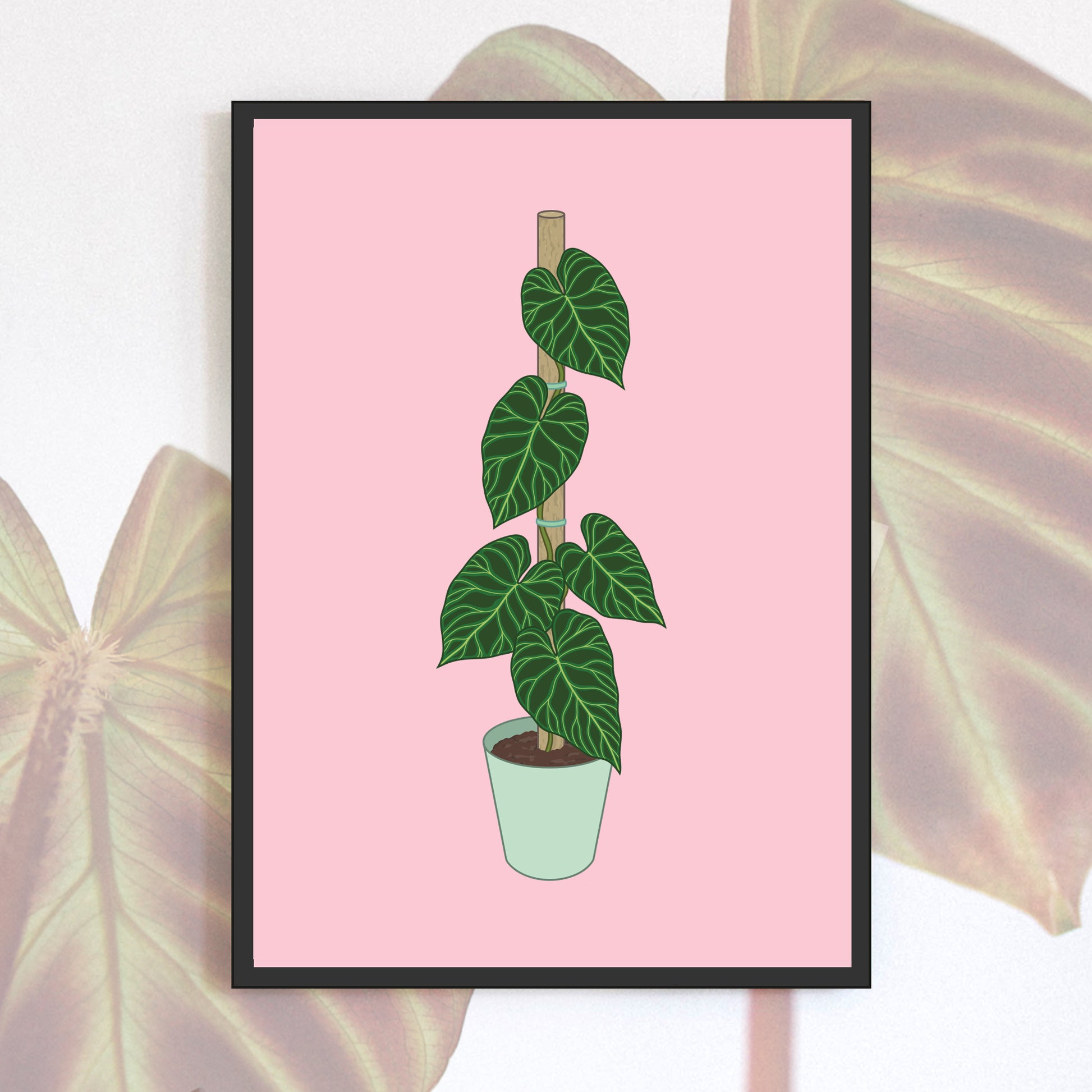 A6 illustrated philodendron poster digitally illustrated houseplant mini print bundle details pink verrucosum