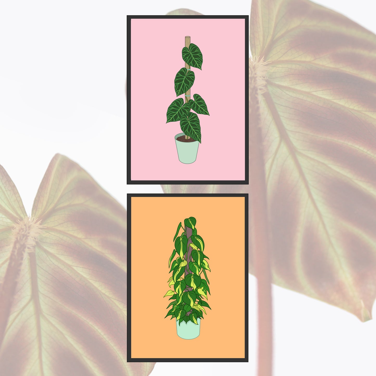 A6 illustrated philodendron poster digitally illustrated houseplant mini print bundle