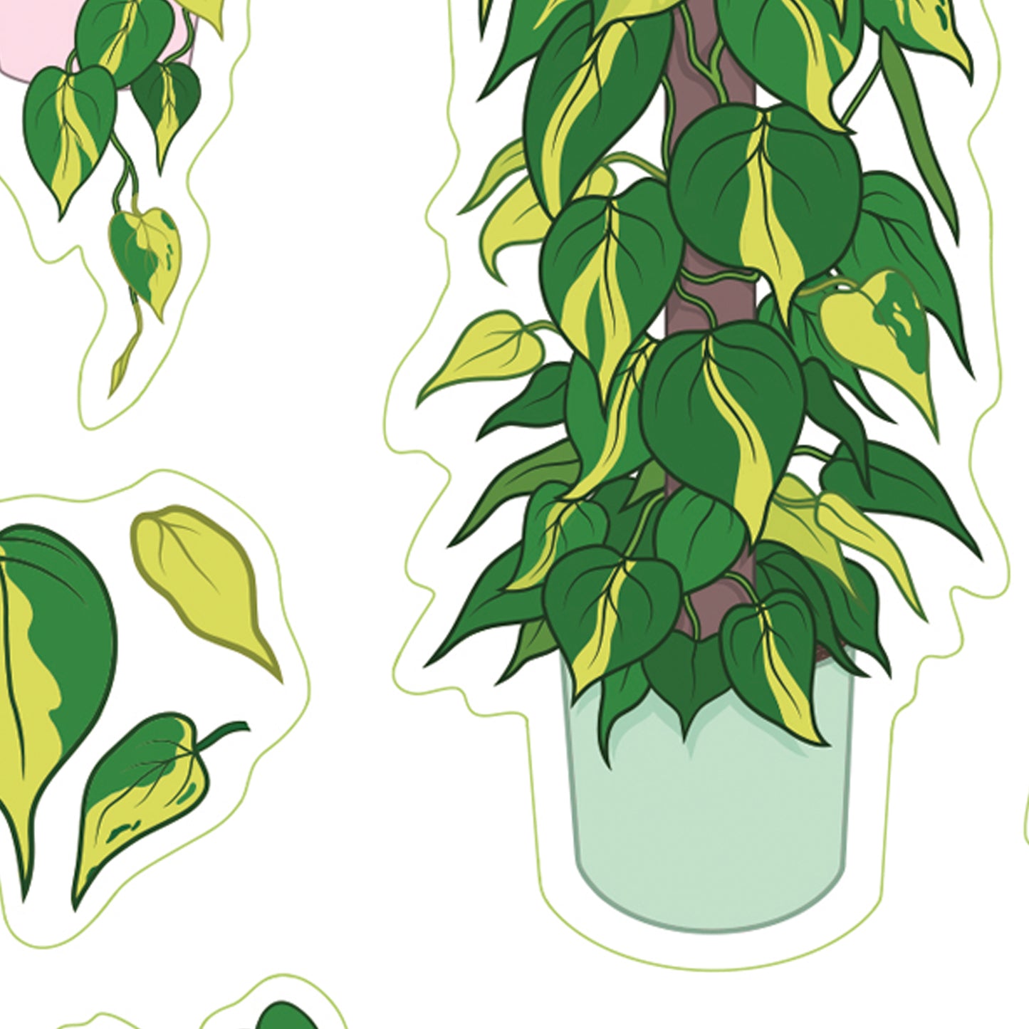 A6 houseplant sticker sheet digitally illustrated philodendron brasil novelty plant stickers leaf details