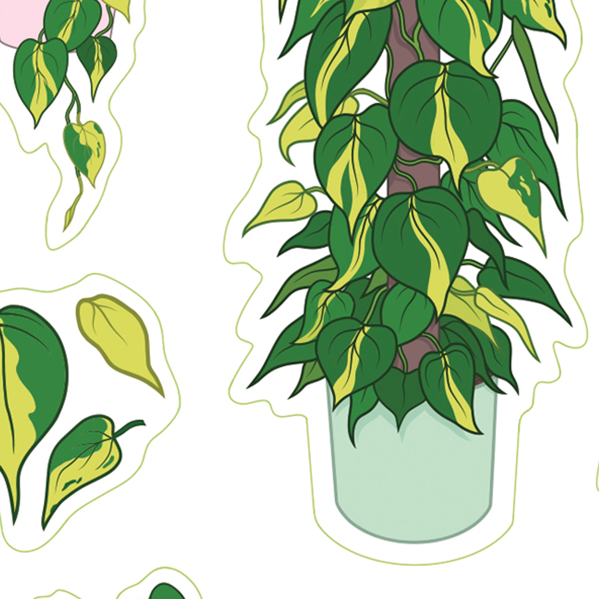 A6 houseplant digitally illustrated sticker sheet philodendron brasil leaf details