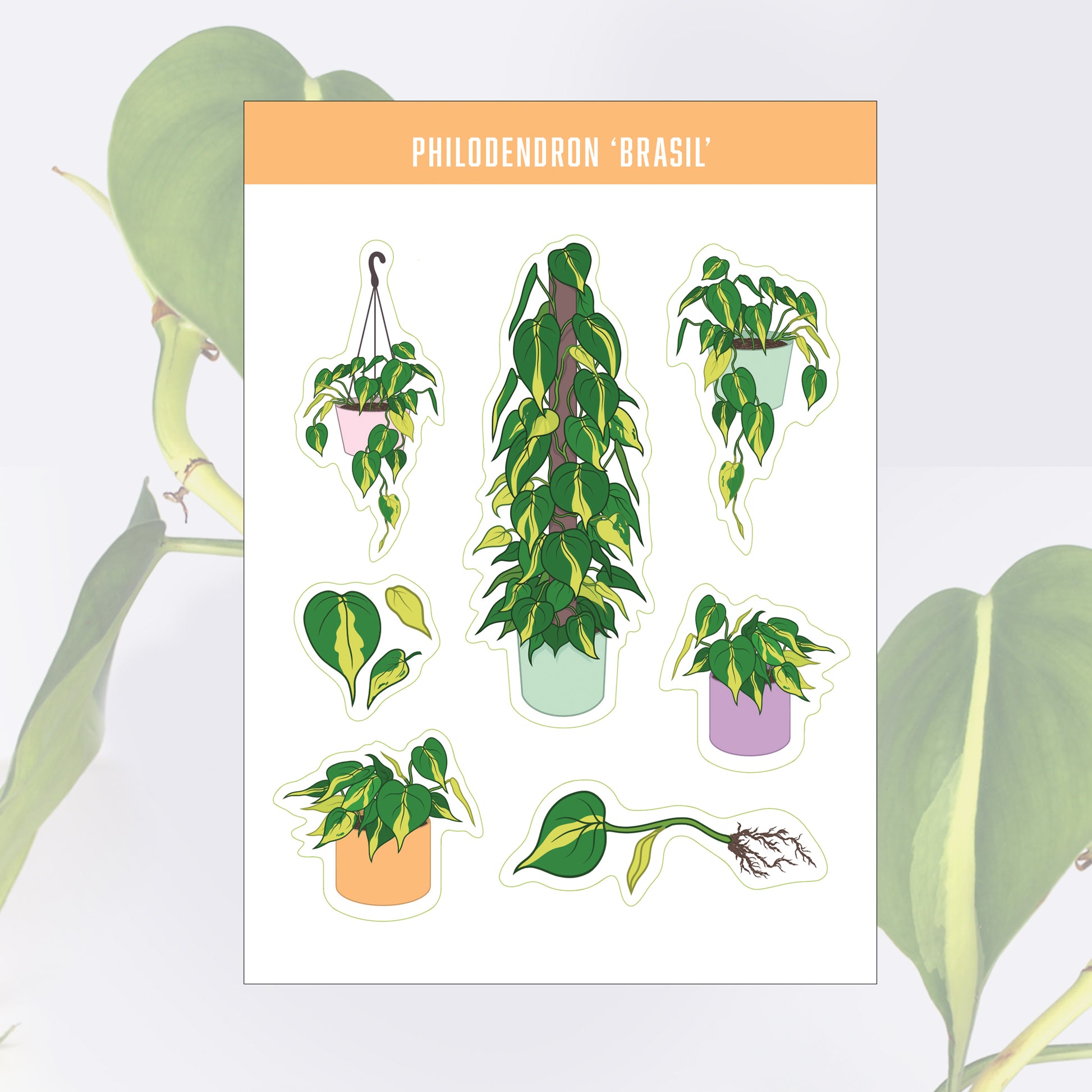 A6 houseplant sticker sheet digitally illustrated philodendron brasil novelty plant stickers