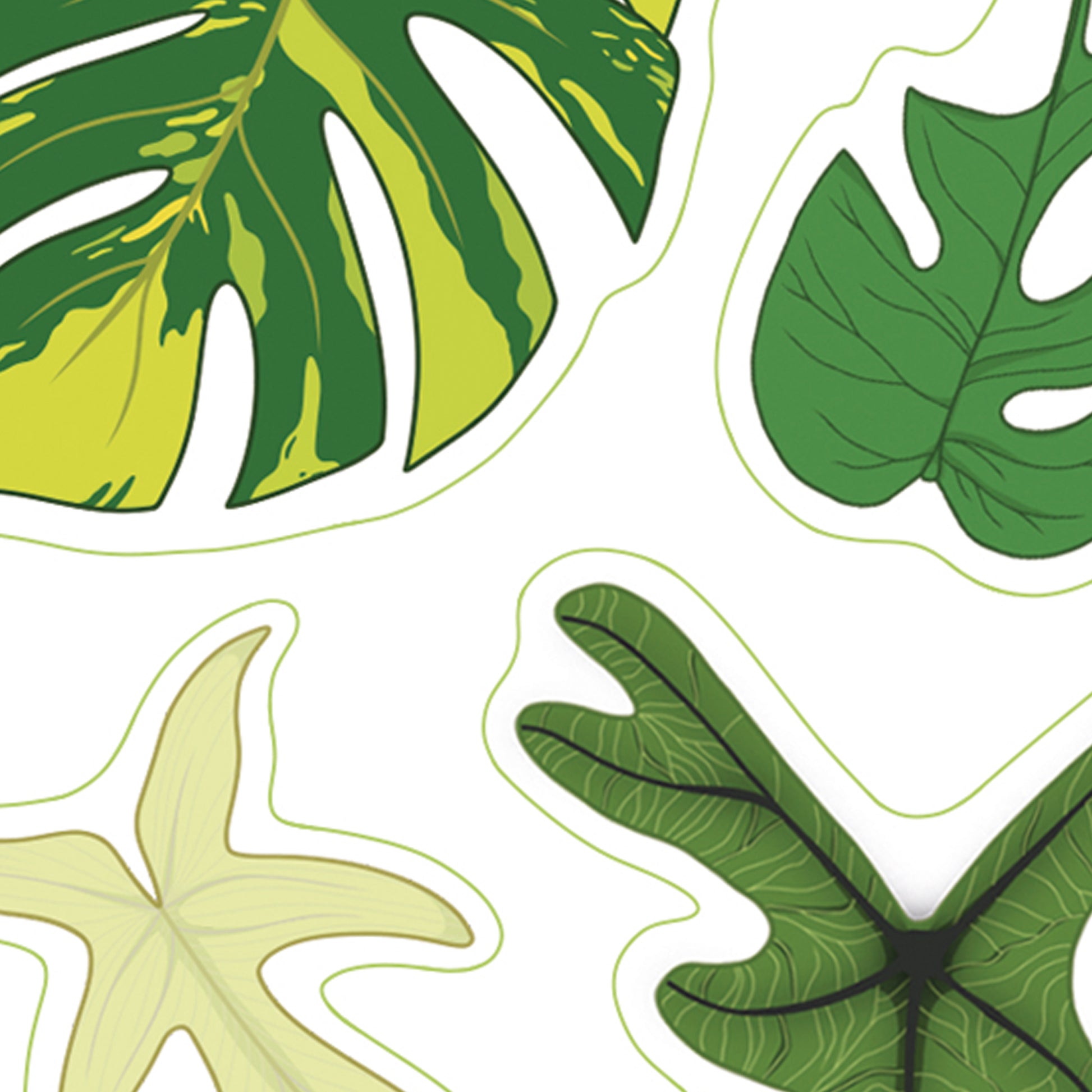 A6 houseplant digitally illustrated sticker sheet rare houseplants monstera sport