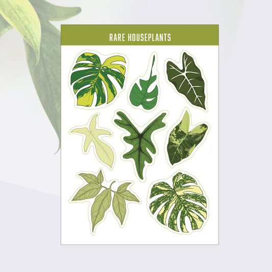 A6 houseplant sticker sheet digitally illustrated rare houseplants novelty plant stickers