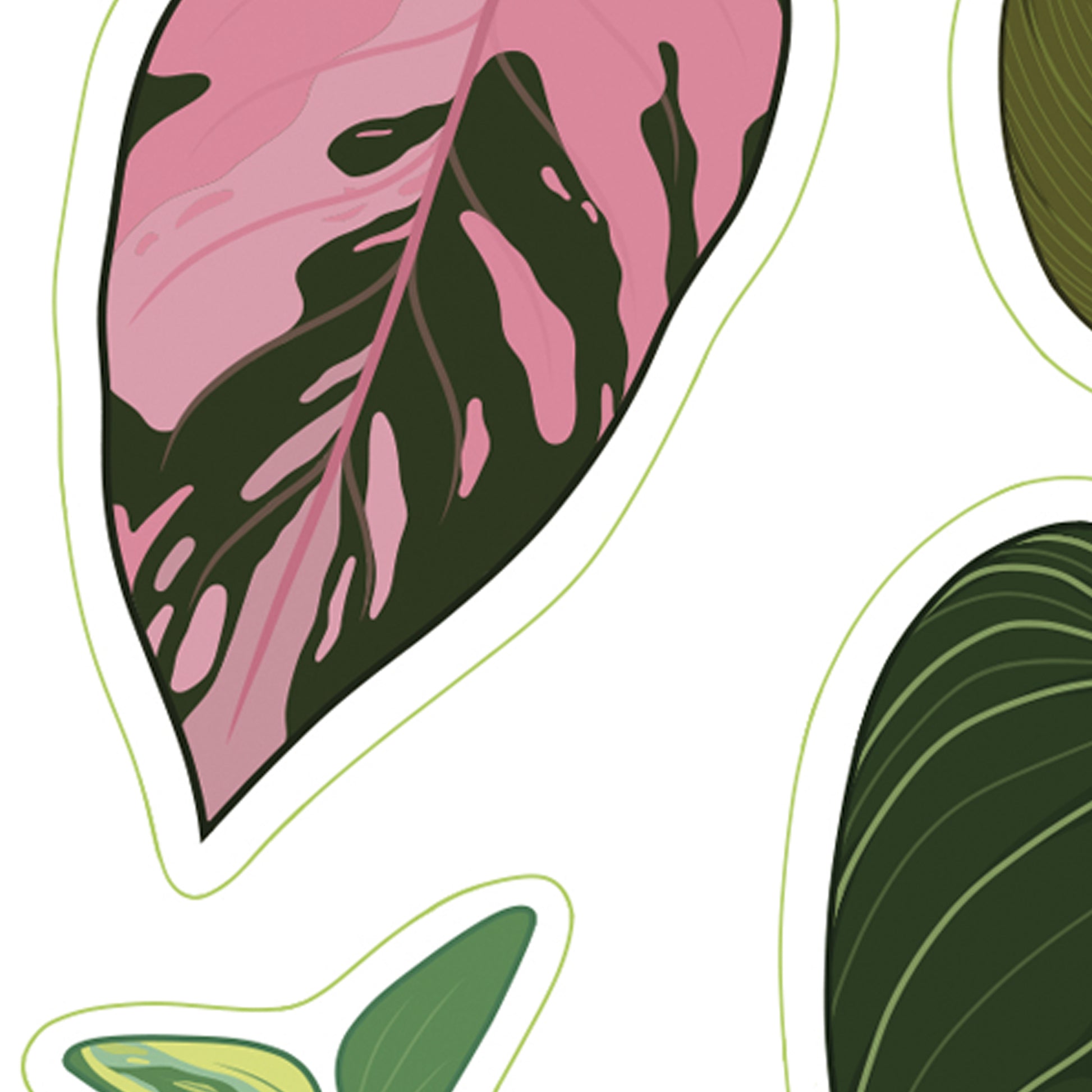 A6 houseplant digitally illustrated sticker sheet rare philodendrons pink princess