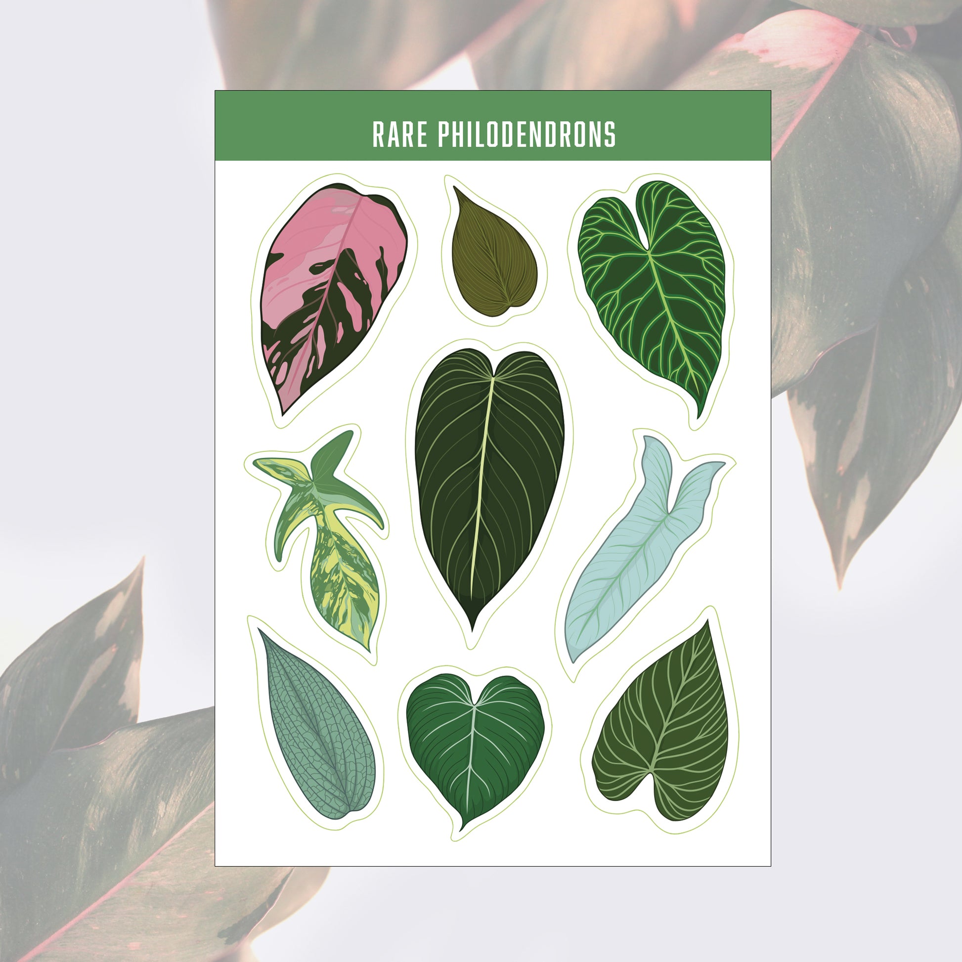 A6 houseplant sticker sheet digitally illustrated rare philodendrons novelty plant stickers